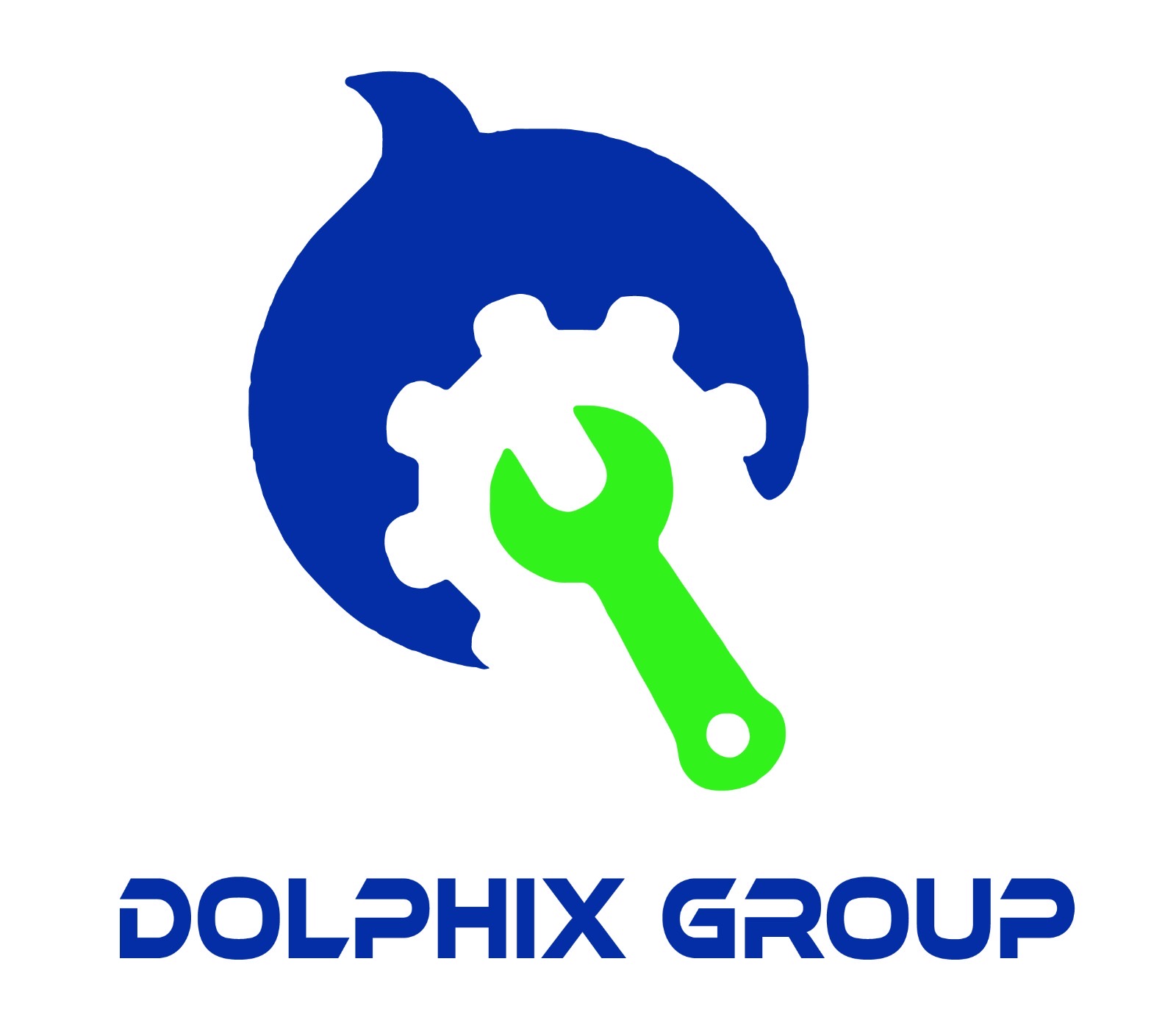 DOLPHIX GROUP